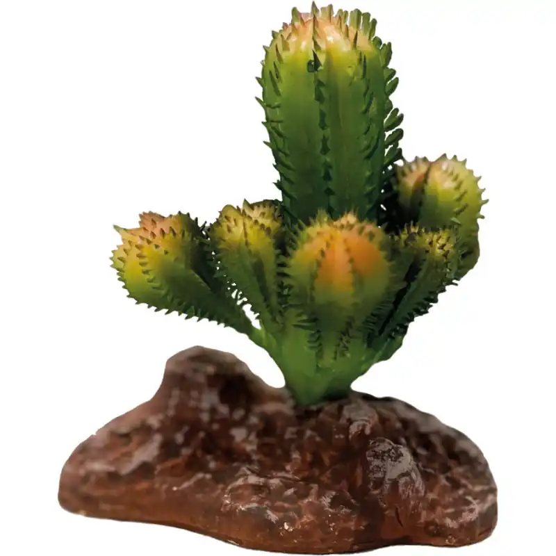 Repto Plant Cactus Bestel Nu