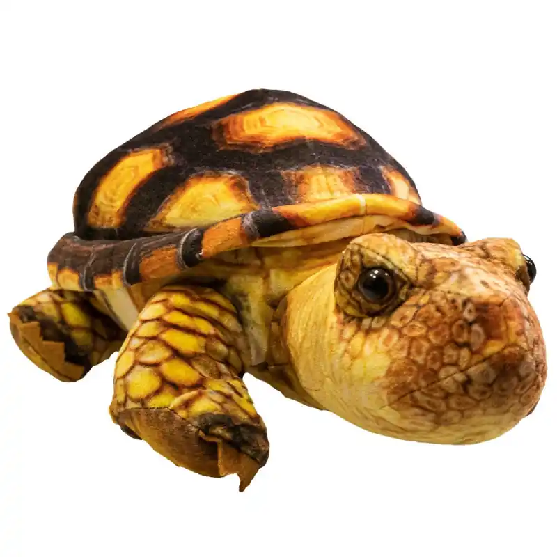 Koopje Pluche Knuffel Schildpad