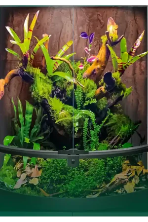 Meest Verkocht Repto Terra Half Moon 56x28x64cm – Paludarium