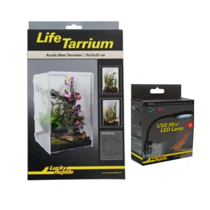 Combi Deal Lucky Reptile Lifetarrium 15x15x25cm met Mini Led Lamp Lage Kosten