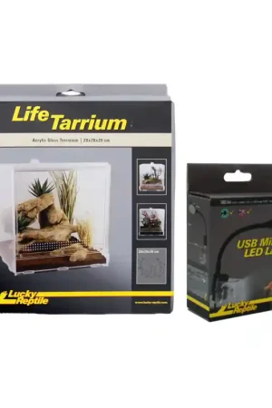 Combi Deal Lucky Reptile Lifetarrium 20x20x20cm met Mini Led Lamp Tijdelijk Beschikbaar
