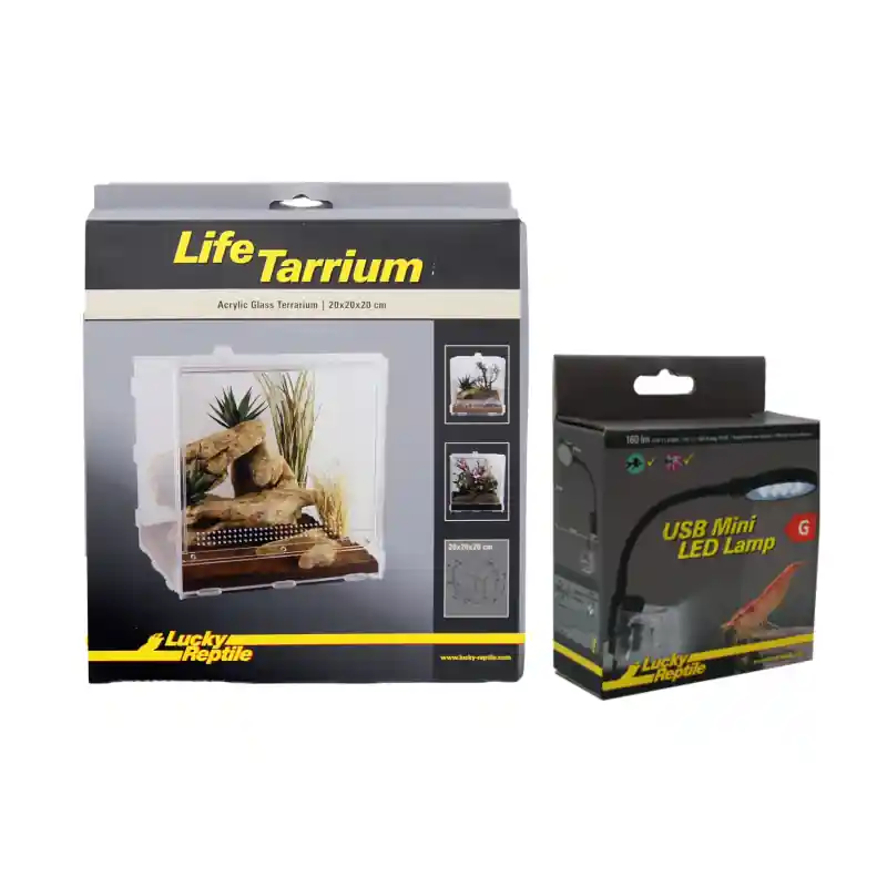 Combi Deal Lucky Reptile Lifetarrium 20x20x20cm met Mini Led Lamp Tijdelijk Beschikbaar