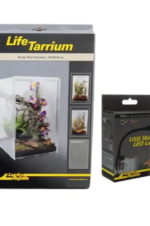 Aanbieding Combi Deal Lucky Reptile Lifetarrium 30x30x45cm met Mini Led Lamp