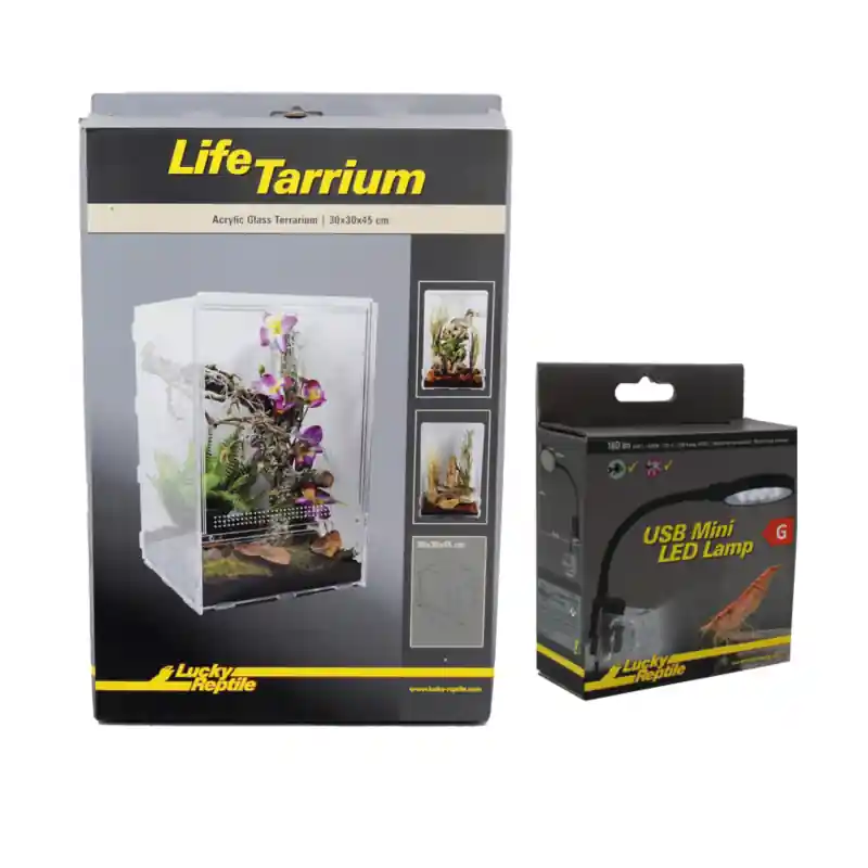 Aanbieding Combi Deal Lucky Reptile Lifetarrium 30x30x45cm met Mini Led Lamp