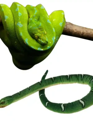 Pluche Groene Boompython Knuffel 100cm Voordeelprijs