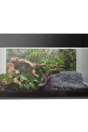 Betaalbaar Lucky Reptile Tiny river 39,5X36,5X17 cm