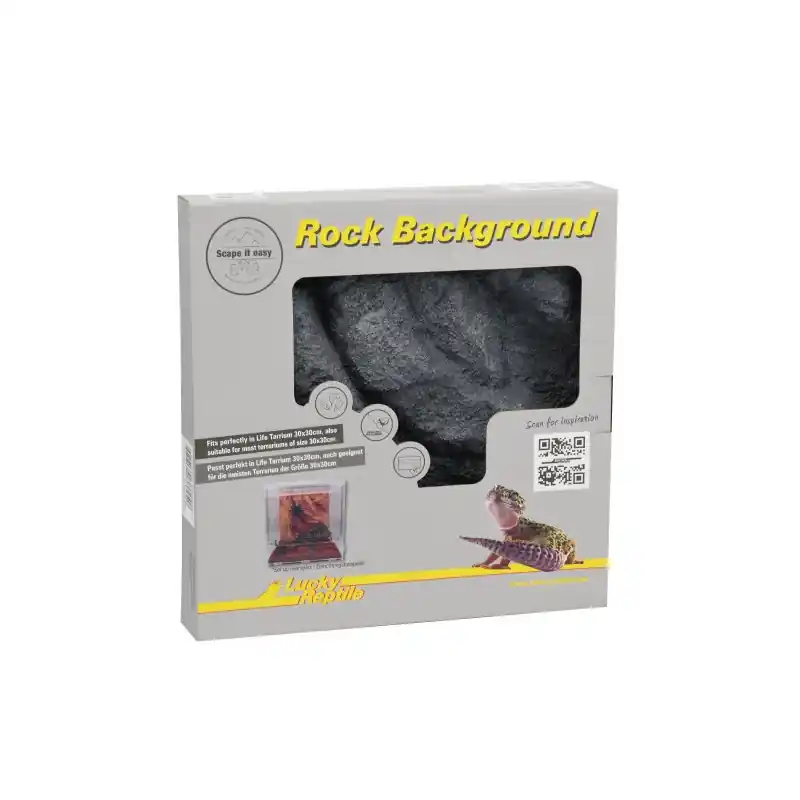 Meest Verkocht Lukcy Reptile Rotsachterwand Basalt Grey 28x28,4 cm