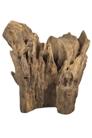 Hete Deal Back Zoo Nature Rough Wood Large
