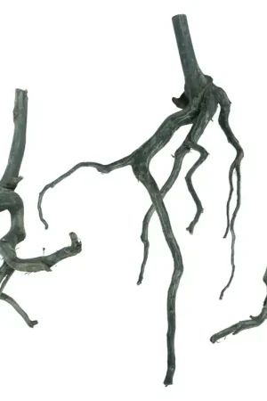 Back Zoo Nature Black Moorwood X-Small Seizoensaanbieding