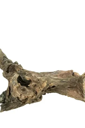 Back Zoo Nature Driftwood Large Weekendaanbieding