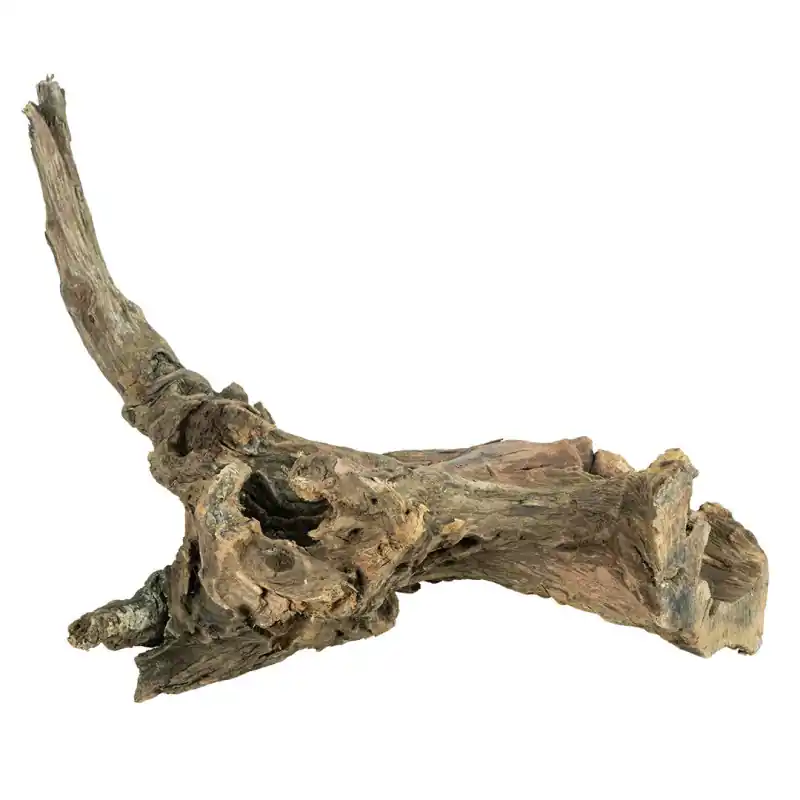Back Zoo Nature Driftwood Large Weekendaanbieding
