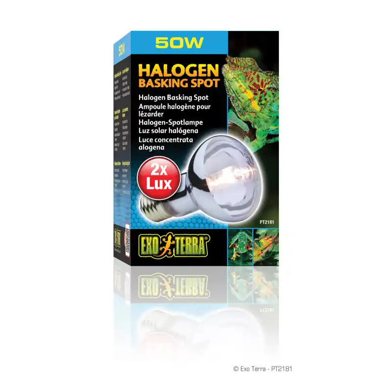 Hete Deal Exo Terra Halogen Basking Spot 50w