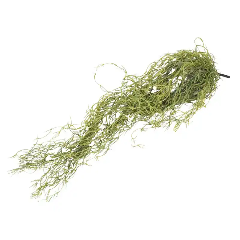 Lucky Reptile Louisiana Moss 50 cm Express Levering