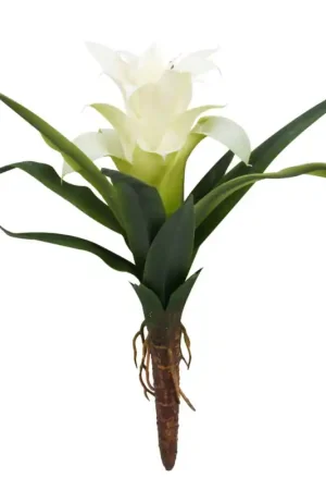 Lucky Reptile Bromelia Small Wit 20 cm Korting