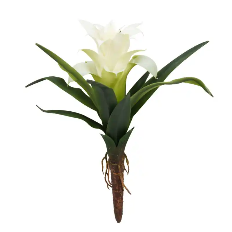 Lucky Reptile Bromelia Small Wit 20 cm Korting