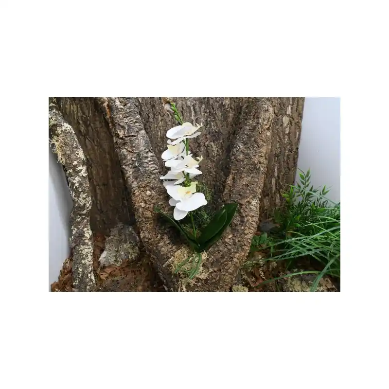 Populair Lucky Reptile Orchidee Small Wit 25 cm