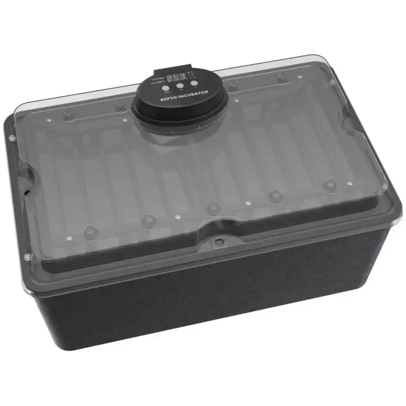 Dagaanbieding Repto Incubator 55x35x28 cm