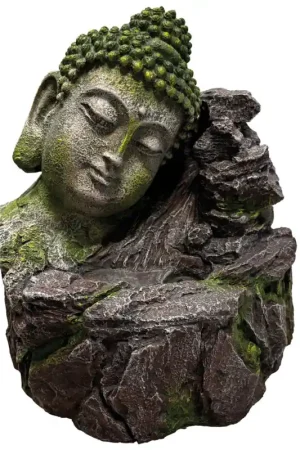 Repto Buddha Drinkfontein Lage Kosten