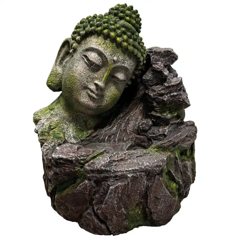 Repto Buddha Drinkfontein Lage Kosten
