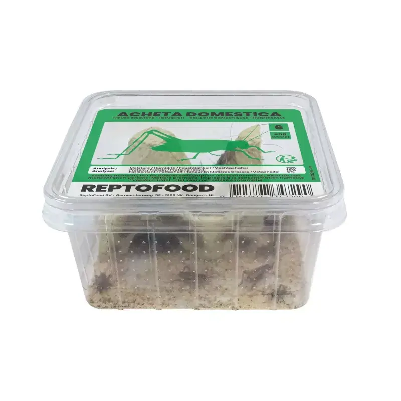 ReptoFood Levende Huiskrekels maat 6 voor Reptielen Exclusieve Aanbieding