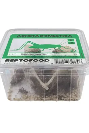 ReptoFood Levende Huiskrekels maat 7 voor Reptielen Finale Uitverkoop