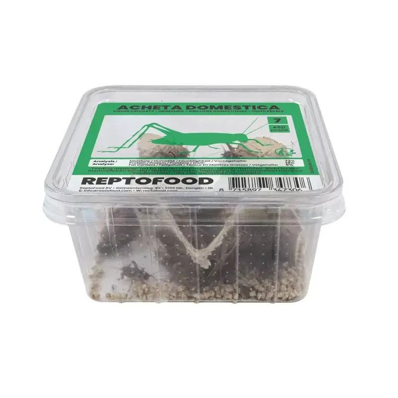 ReptoFood Levende Huiskrekels maat 7 voor Reptielen Finale Uitverkoop