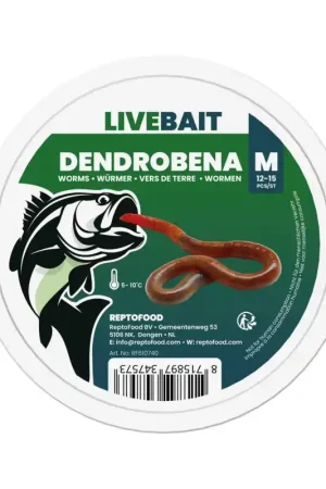 Tijdelijk Beschikbaar Levende Dendrobena Viswormen Middelgroot