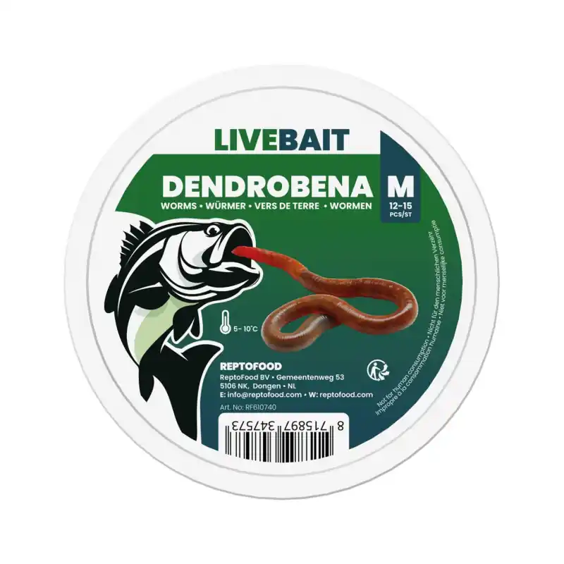 Tijdelijk Beschikbaar Levende Dendrobena Viswormen Middelgroot
