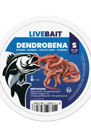 Levende Dendrobena Viswormen Klein Tijdelijk Beschikbaar