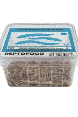 Meelwormen 50 gram voor reptielen, vogels en vissen Lage Prijs