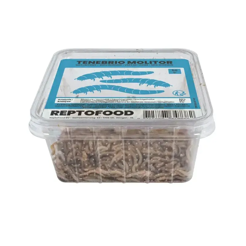Meelwormen 50 gram voor reptielen, vogels en vissen Lage Prijs