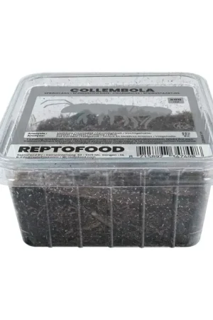 Springstaarten (Collembola) voor Terrariums en Bioactieve Bodems Populair