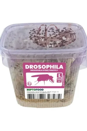 Fruitvliegjes L voor reptielen en amfibieën Veilige Betaling