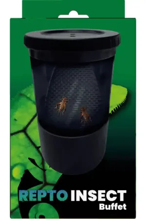Repto Insecten Buffet Bestel Nu