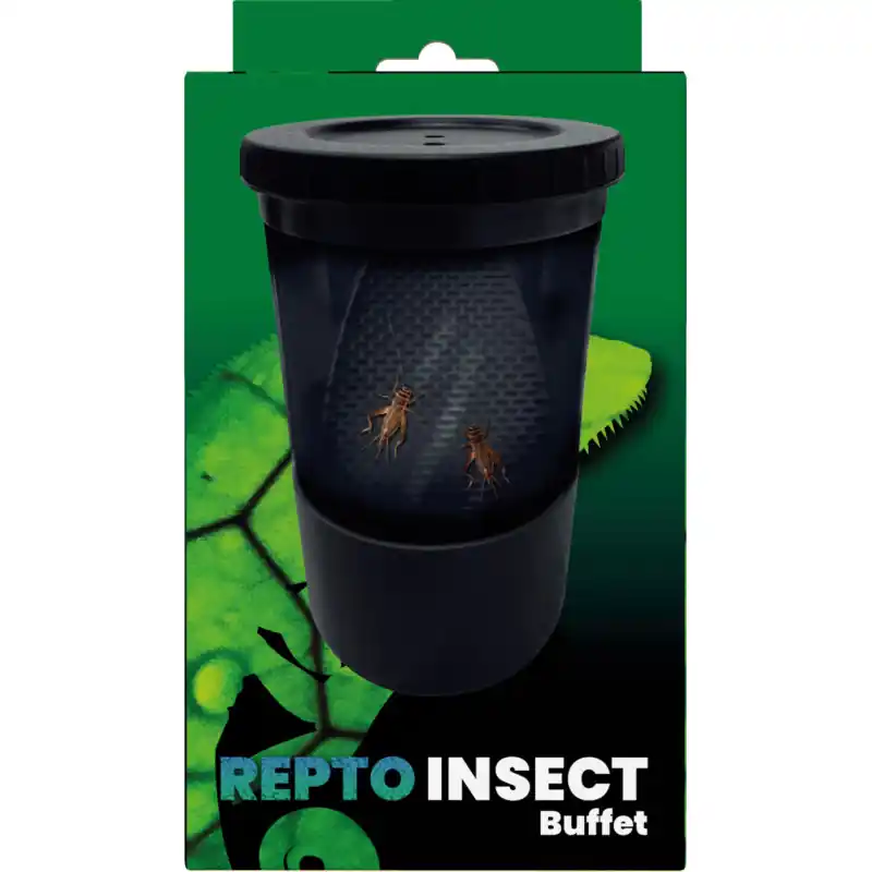Repto Insecten Buffet Bestel Nu