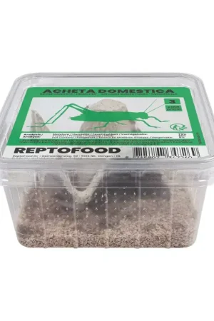 Beperkt Aanbod ReptoFood Levende Huiskrekels maat 3 voor Reptielen