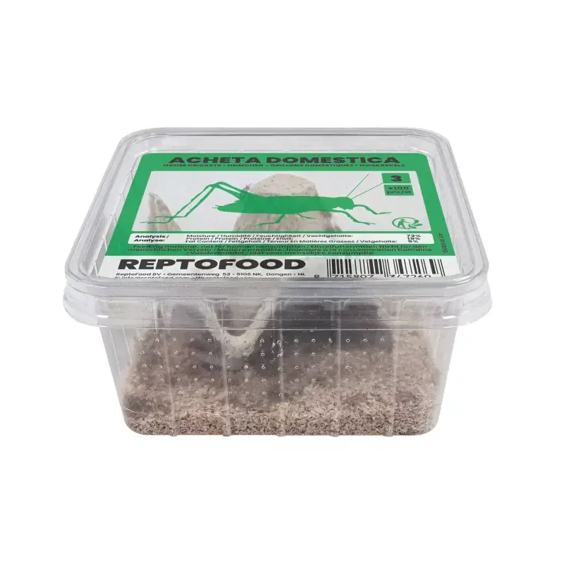 Beperkt Aanbod ReptoFood Levende Huiskrekels maat 3 voor Reptielen