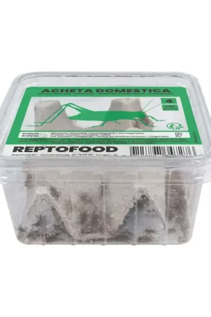 ReptoFood Levende Huiskrekels maat 4 voor Reptielen Beperkte Voorraad