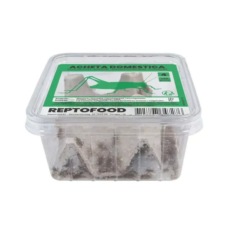 ReptoFood Levende Huiskrekels maat 4 voor Reptielen Beperkte Voorraad