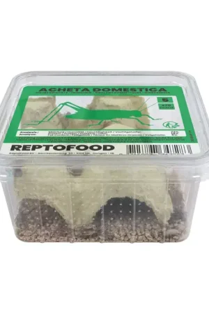 Goedkoop ReptoFood Levende Huiskrekels maat 5 voor Reptielen