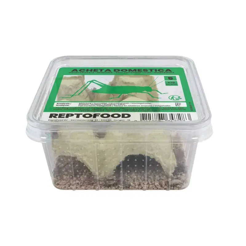 Goedkoop ReptoFood Levende Huiskrekels maat 5 voor Reptielen