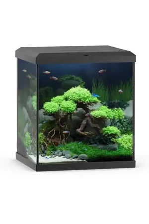 Superprijs Juwel Aquarium Vio Cube 54 Liter met Filter Zwart