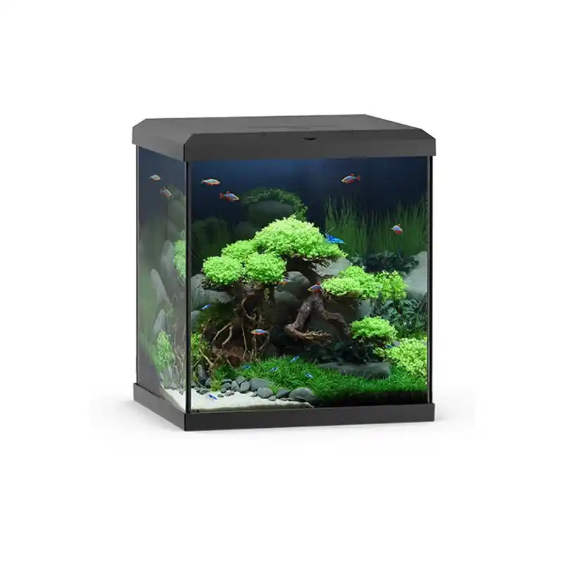 Superprijs Juwel Aquarium Vio Cube 54 Liter met Filter Zwart