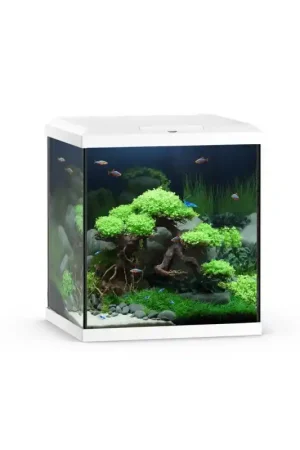 Uitverkoop Juwel Aquarium Vio Cube 54 Liter met Filter Wit