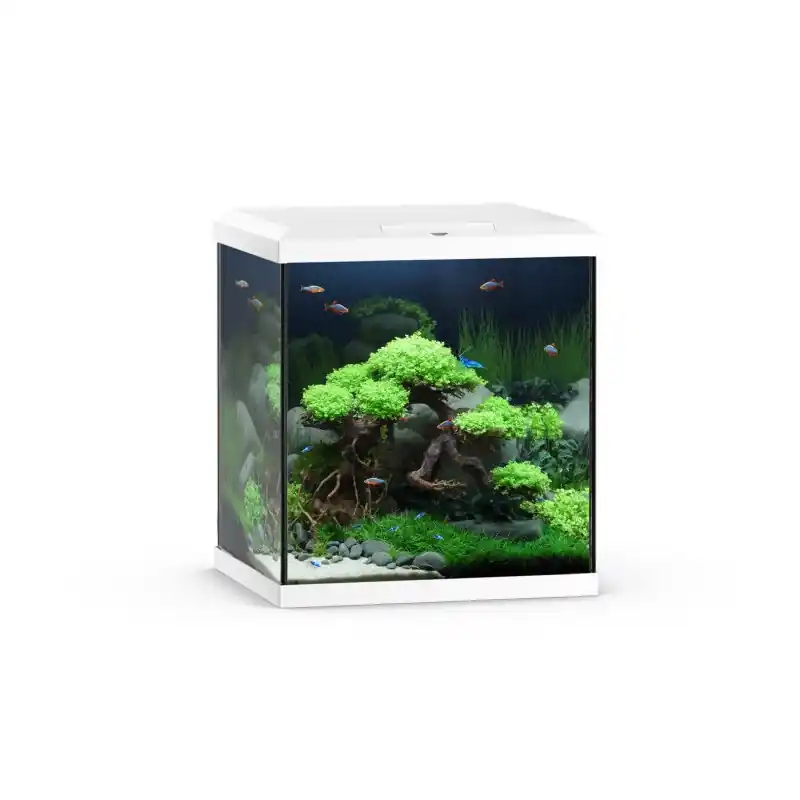 Uitverkoop Juwel Aquarium Vio Cube 54 Liter met Filter Wit