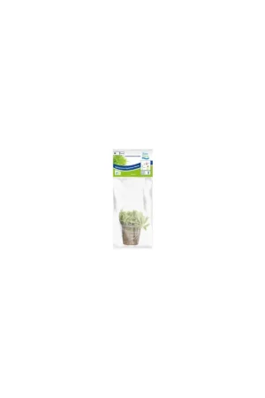 Seizoensaanbieding Aquariumplant Thai Waterkastanje 5 cm in pot