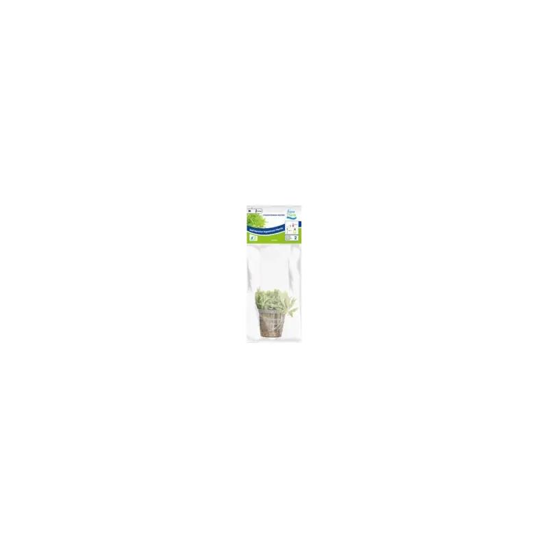 Seizoensaanbieding Aquariumplant Thai Waterkastanje 5 cm in pot