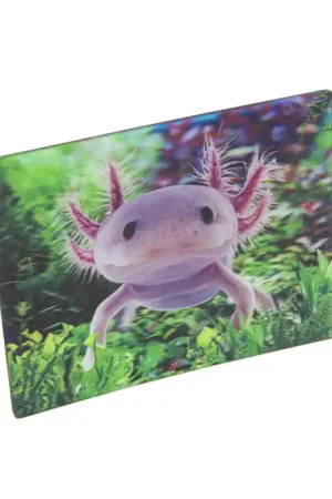 Superprijs 3D Axolotl Magneet