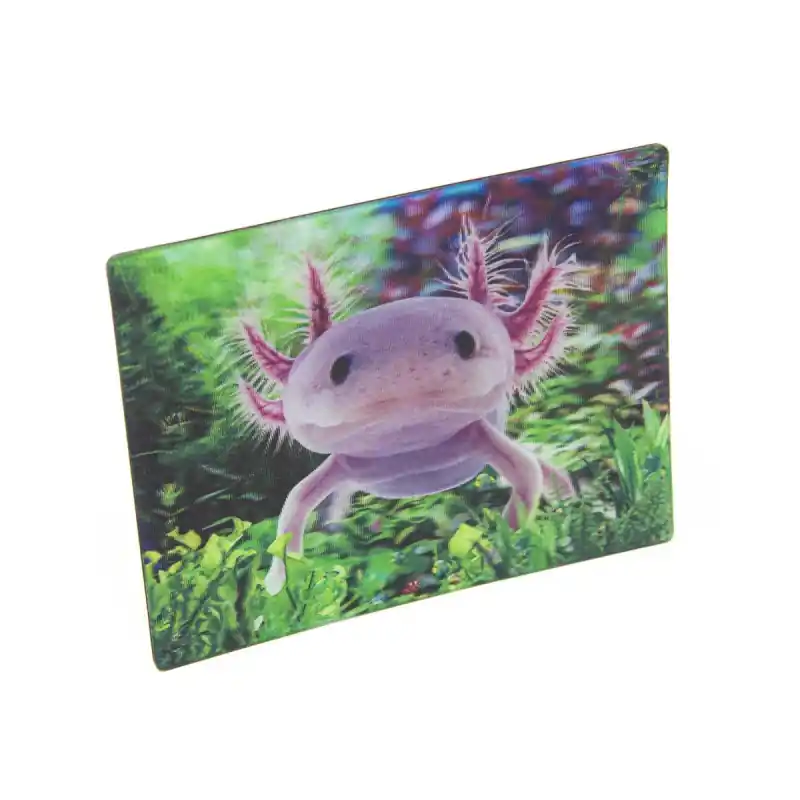 Superprijs 3D Axolotl Magneet