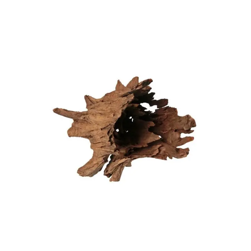 Finale Uitverkoop HS Aqua Corbo Root Small